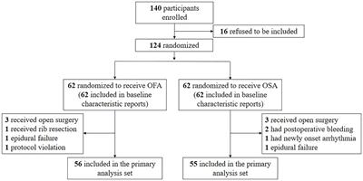 Opioid-free anesthesia reduces the severity of acute postoperative motion-induced pain and patient-controlled epidural analgesia-related adverse events in lung surgery: randomized clinical trial